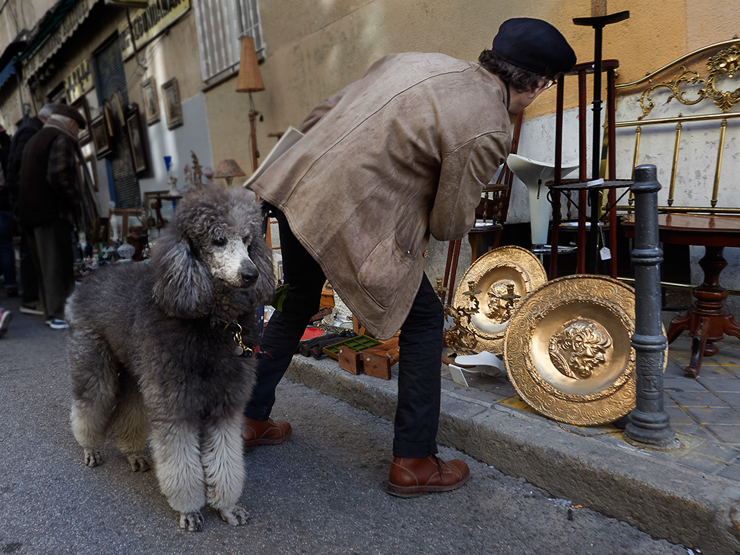 hombre y perro en las calles de Madrid