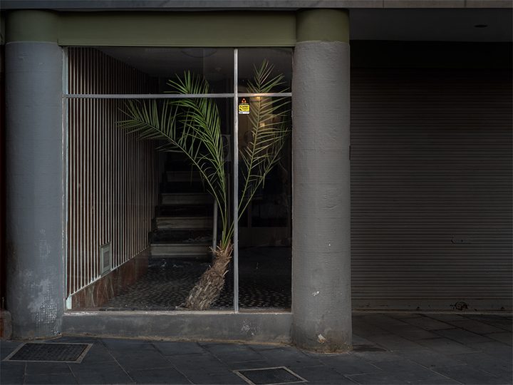 planta encerrada
